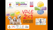 100x100 mascotas 2012