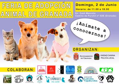 2 junio: Feria de Adopción Animal de Granada